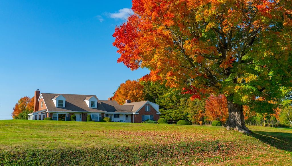 Expert Lawn Care Tips Every Homeowner Should Know
